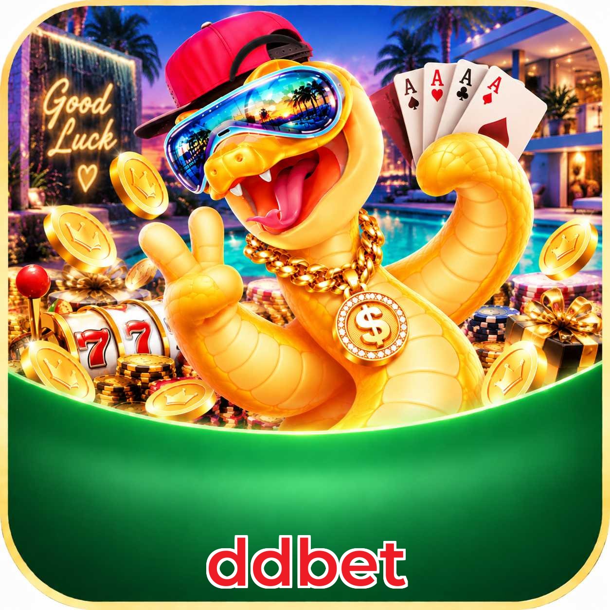 ddbet FAQ